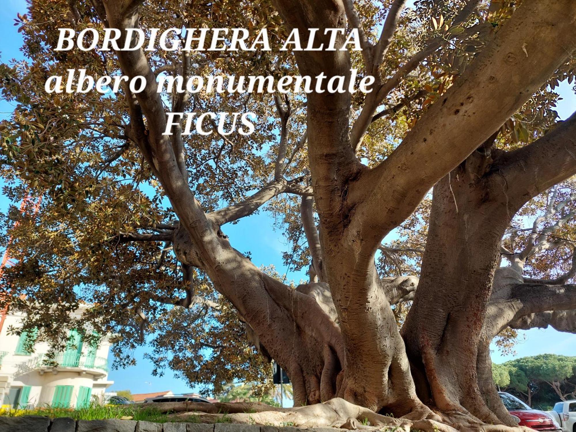 Apartamento Emozioni Casa Vista Mare *