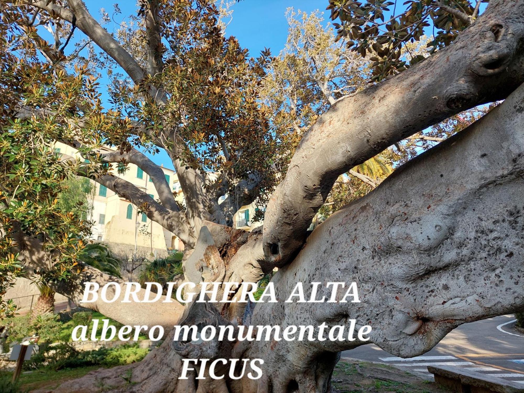 Emozioni Casa Vista Mare Apartment Bordighera
