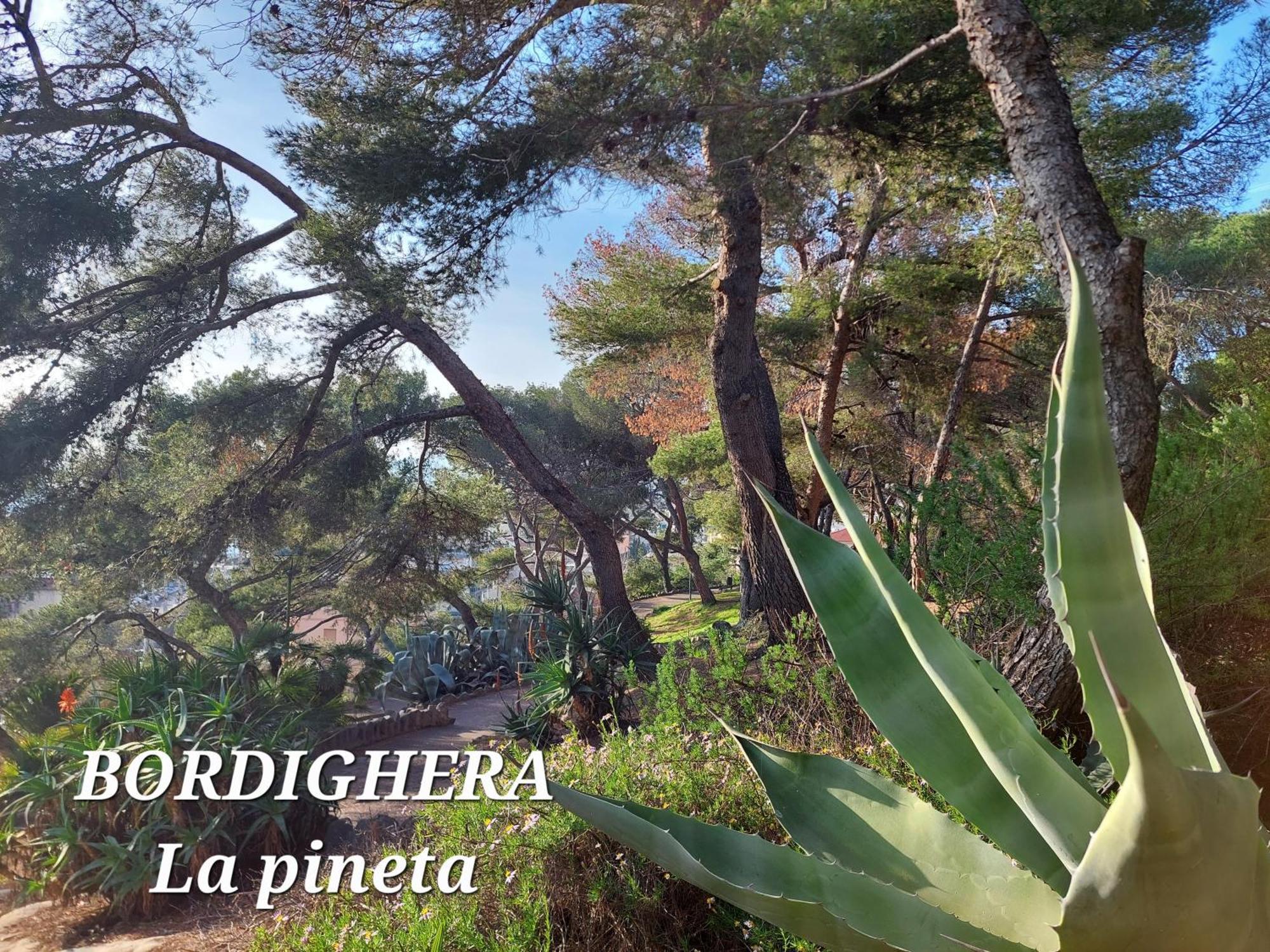 Emozioni Casa Vista Mare Apartment Bordighera