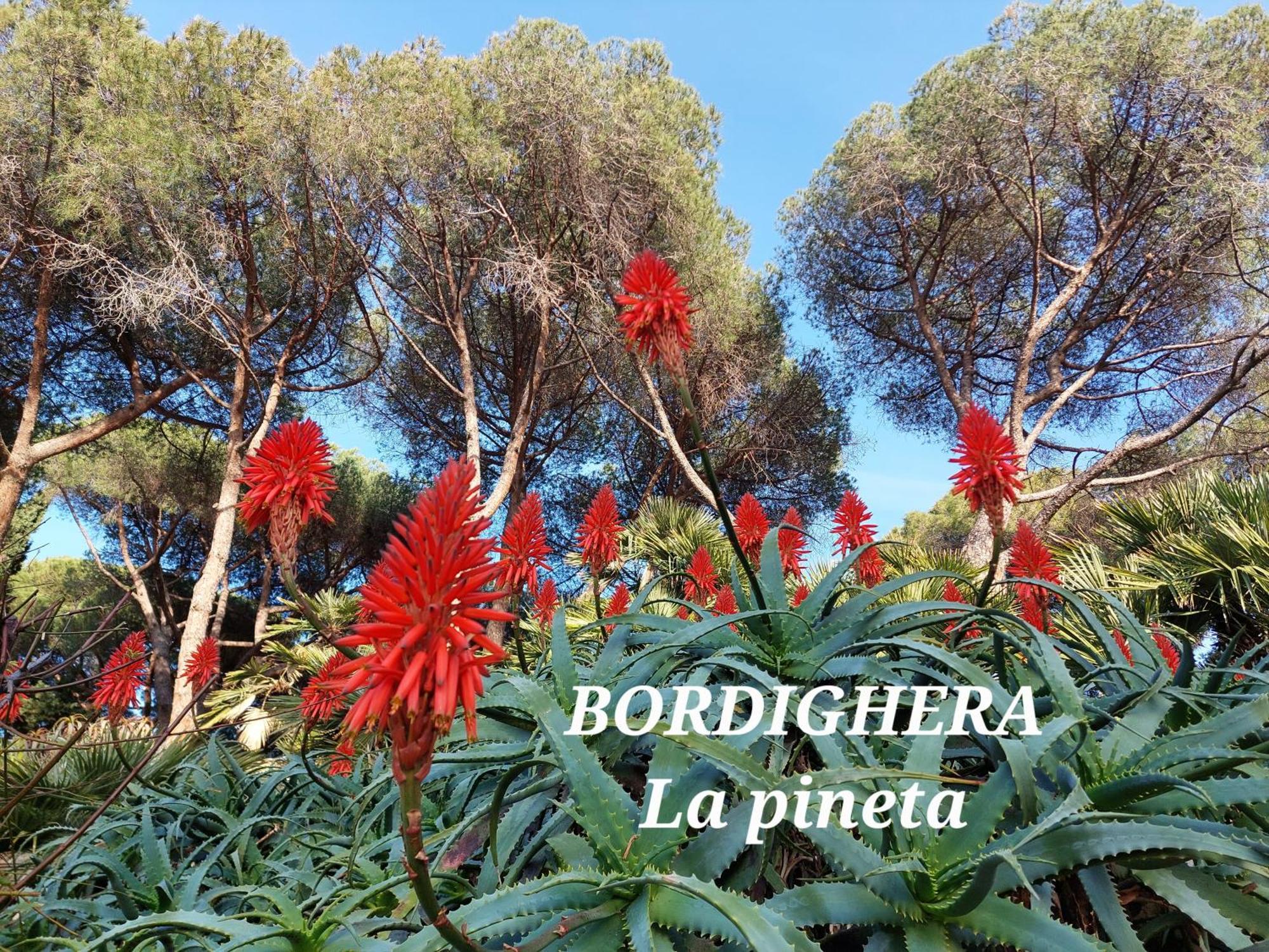 Apartment Emozioni Casa Vista Mare Bordighera