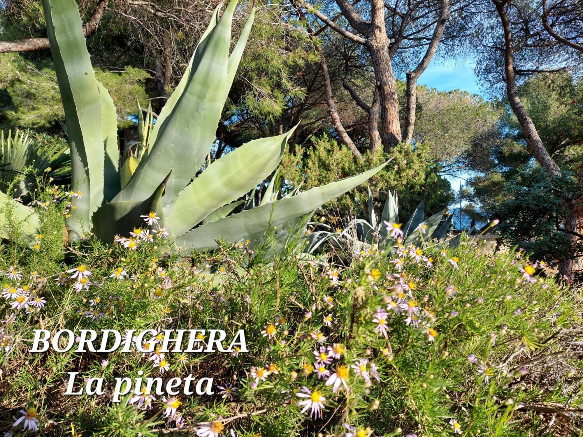 Apartamento Emozioni Casa Vista Mare *